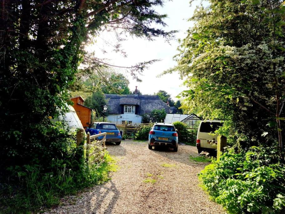 Piddle Puddle Cabin Dorchester Buitenkant foto