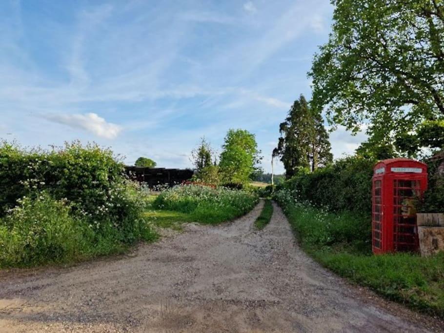 Piddle Puddle Cabin Dorchester Buitenkant foto