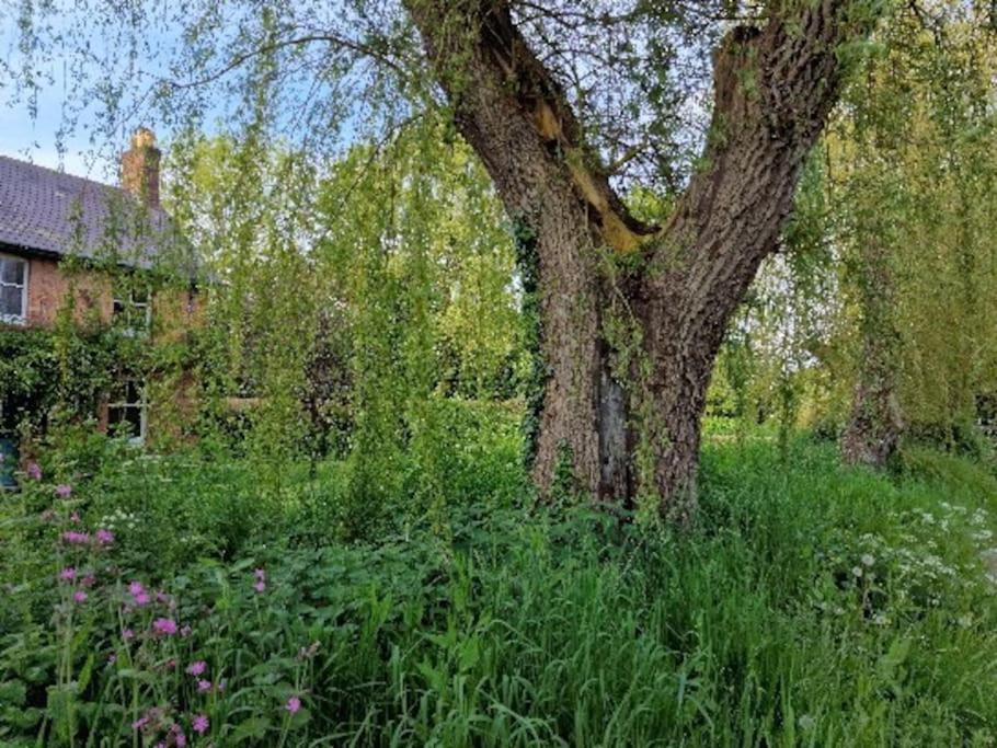 Piddle Puddle Cabin Dorchester Buitenkant foto
